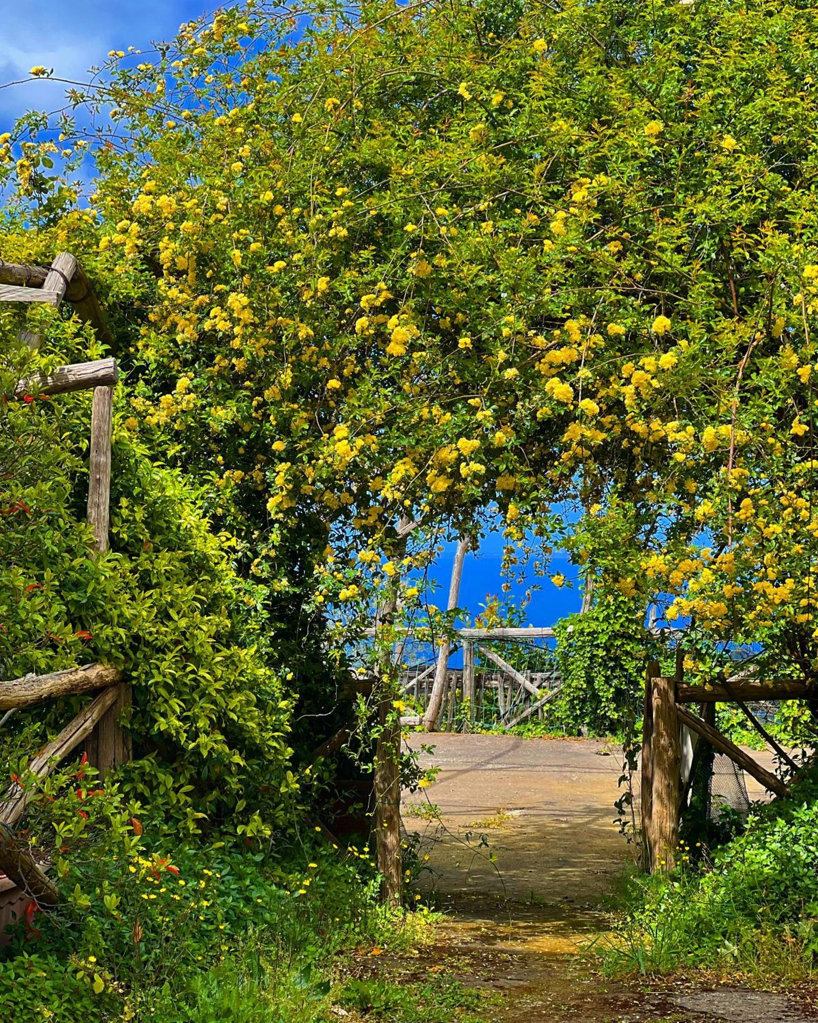 Agriturismo Le Grottelle Vila SantʼAgata sui Due Golfi Exterior foto