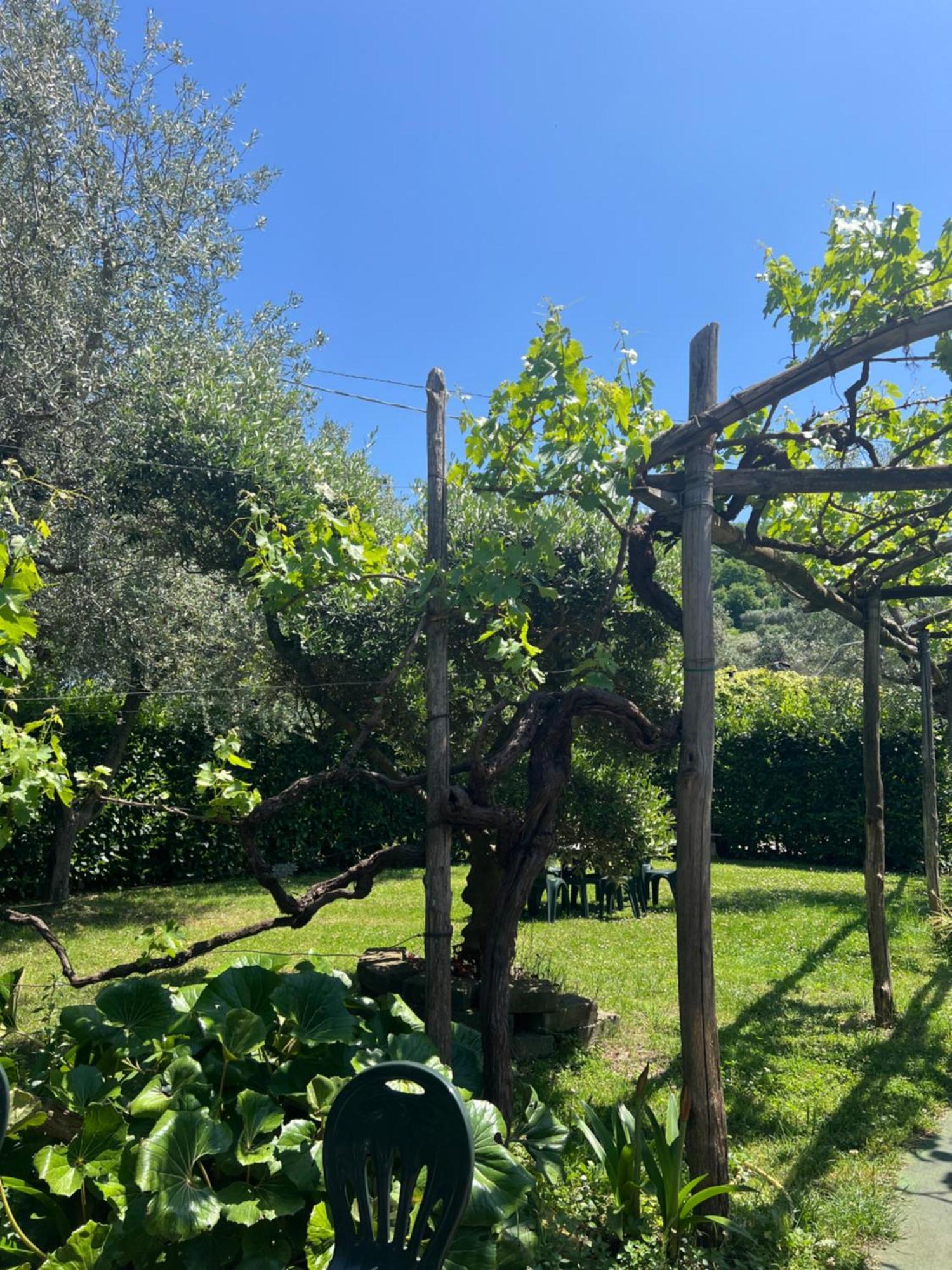 Agriturismo Le Grottelle Vila SantʼAgata sui Due Golfi Exterior foto